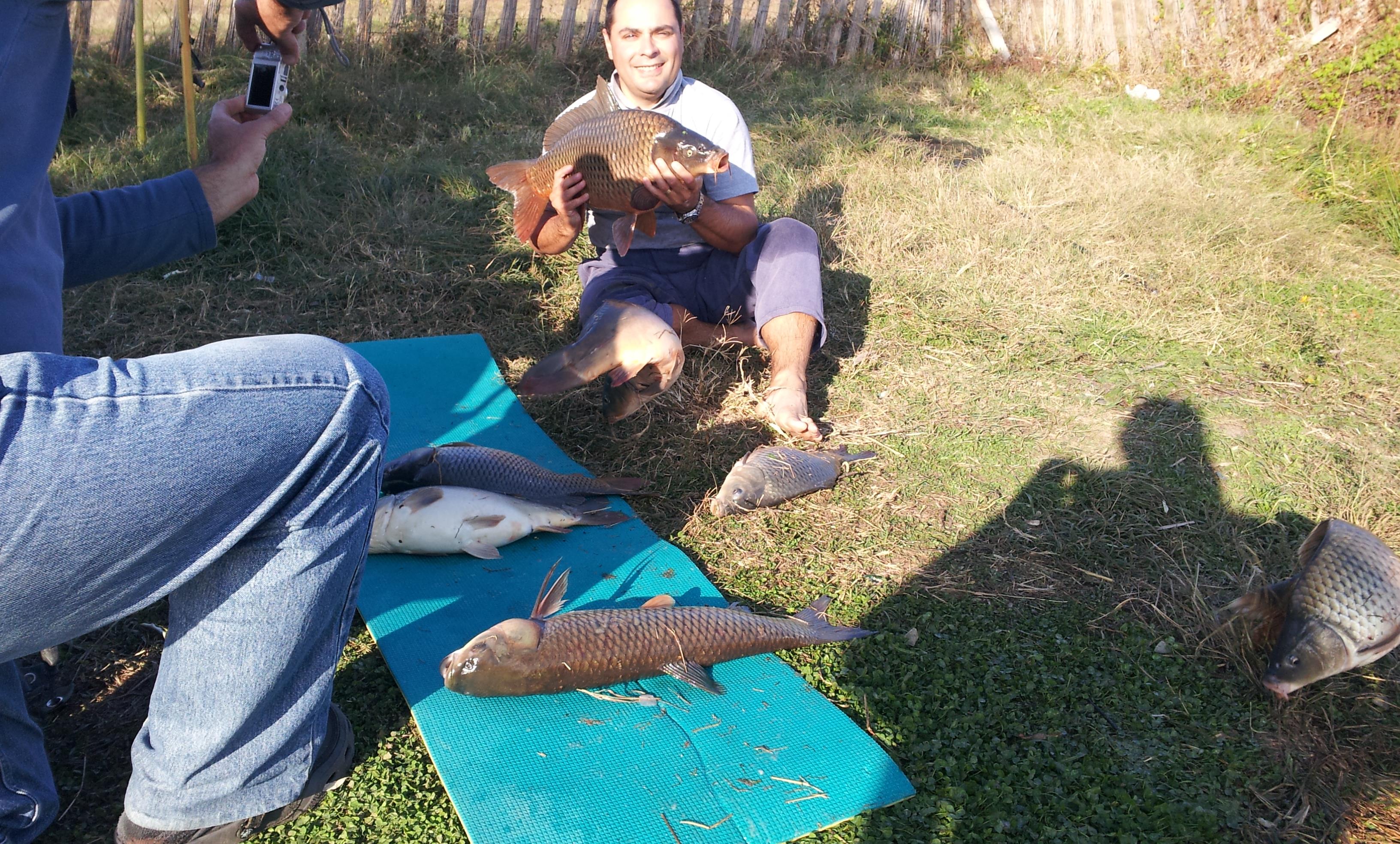 Stolnici - 20121026_161153.jpg